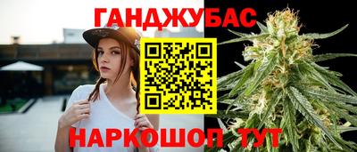 гидра Славгород