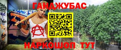 гидра Славгород