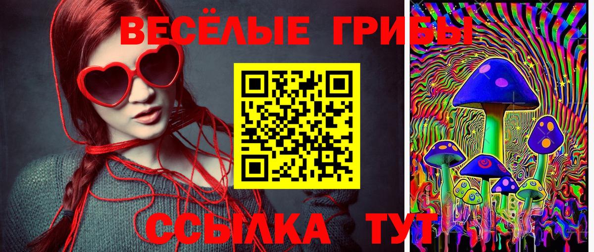 Псилоцибиновые грибы прущие грибы Строитель
