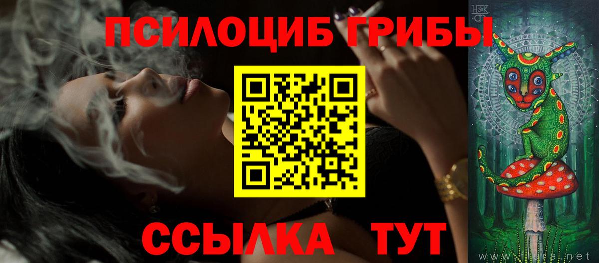 как найти наркотики  Вход с VPN  Строитель  Псилоцибиновые грибы мухоморы 